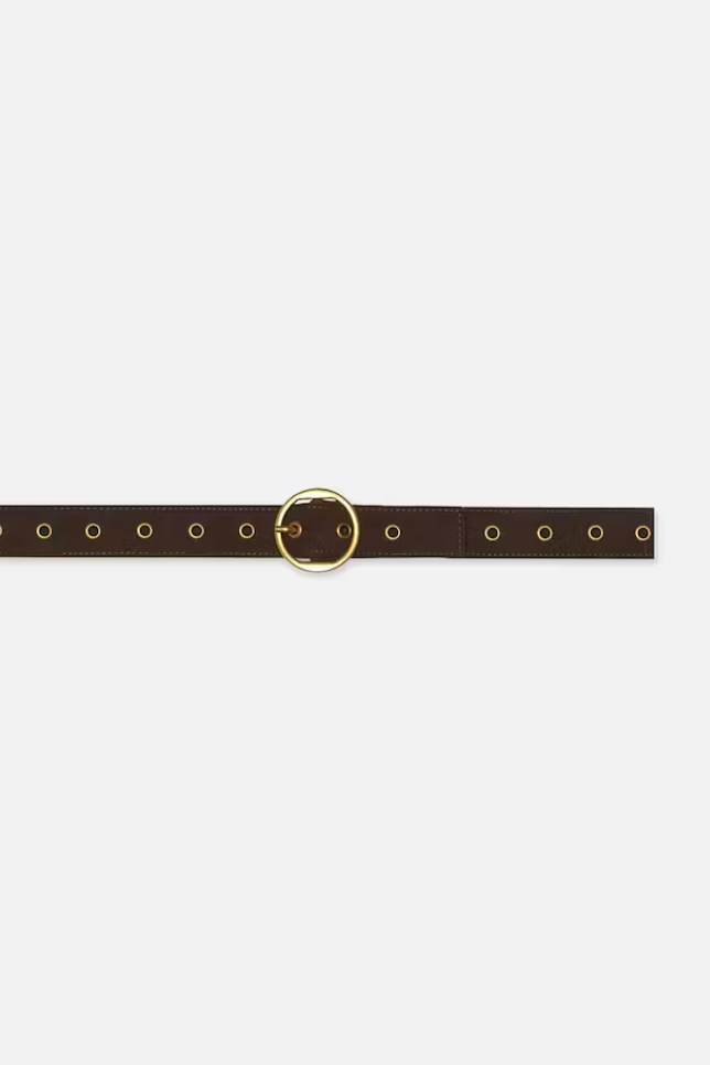 Frame - Petit Circle Belt in Espresso Suede