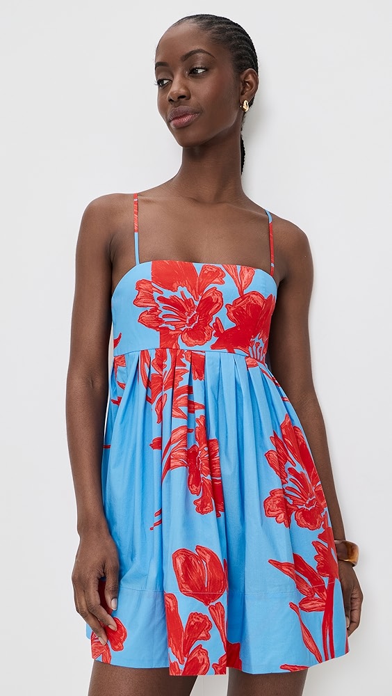 Cara Cara - Leo Mini Dress in Flora Shadow Sky