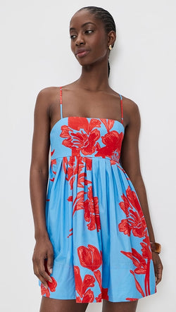 Cara Cara - Leo Mini Dress in Flora Shadow Sky