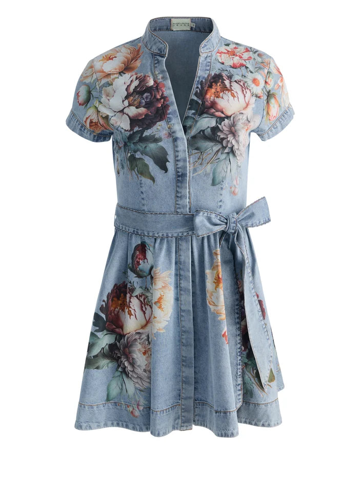ALICE + OLIVIA Lucy Mini Denim Shirt Dress, Size 4