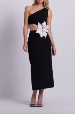 PatBo - Flower Applique Midi Dress in Black
